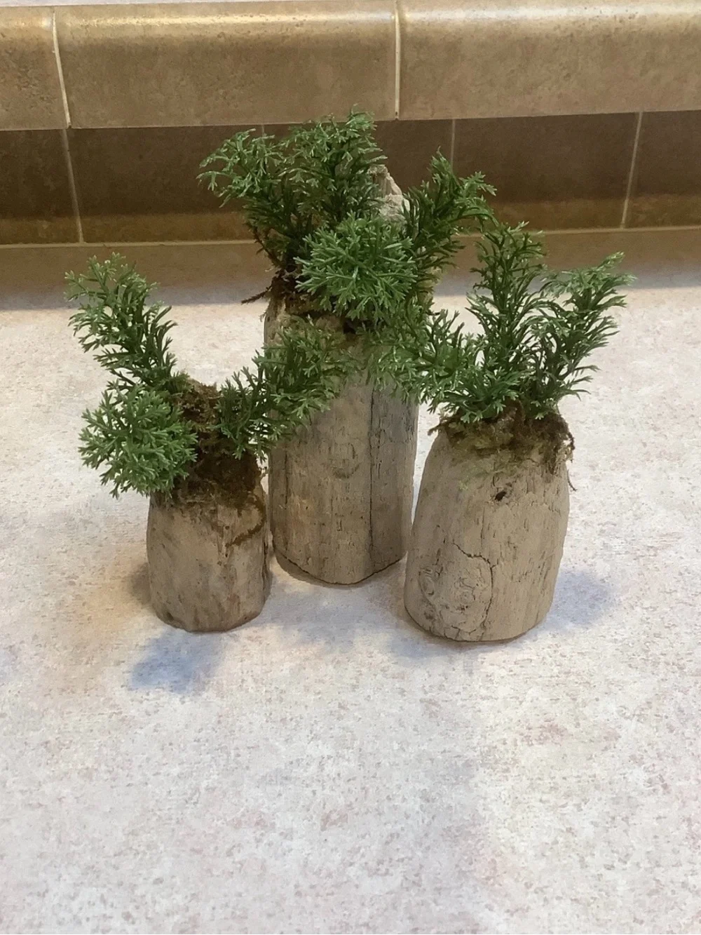 Driftwood Art, Driftwood Faux Plants , Driftwood Faux Greenery Coastal Art